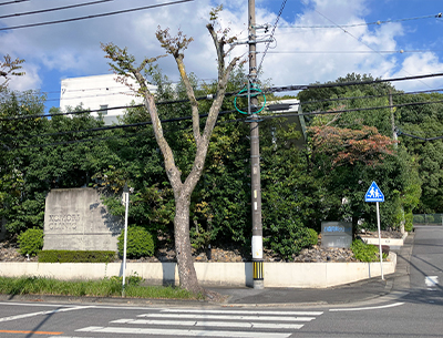 小森内科クリニック