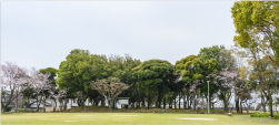 野中公園