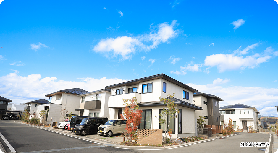 分譲済の街並み