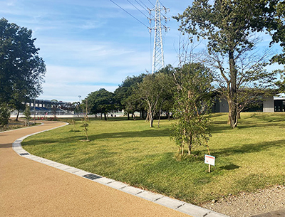 朝宮公園