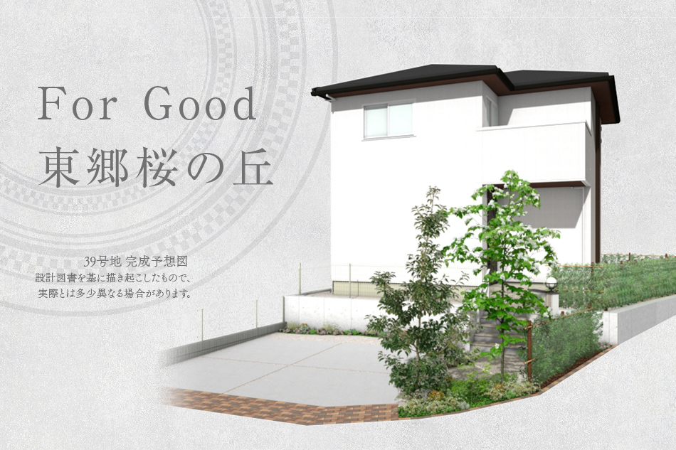39号地
