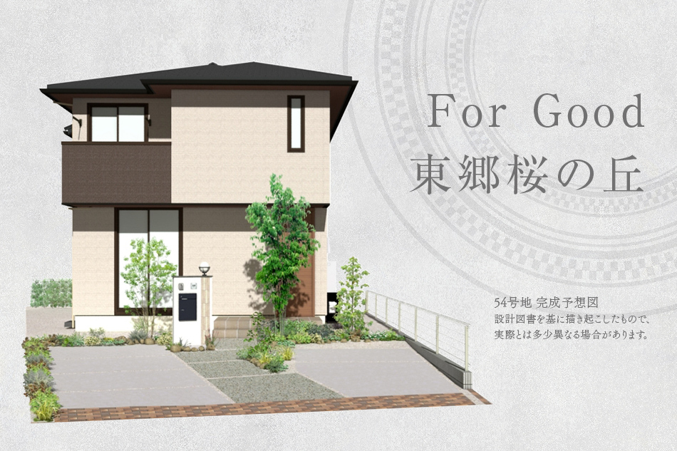 54号地