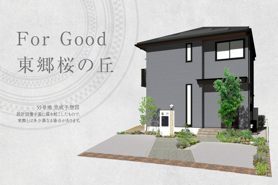 55号地