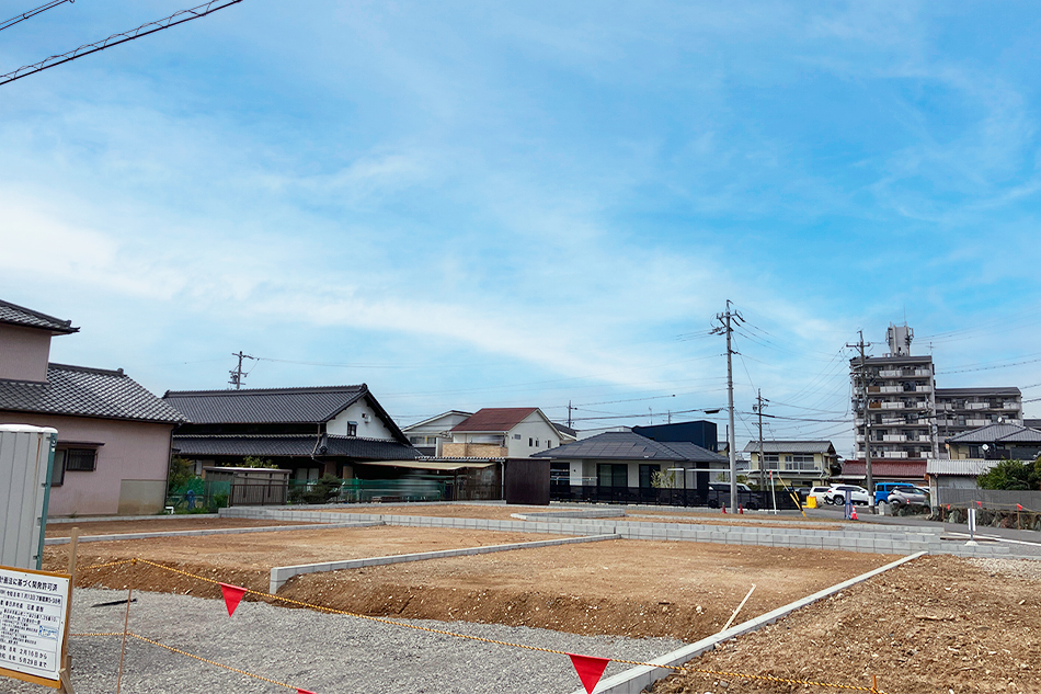 5号地