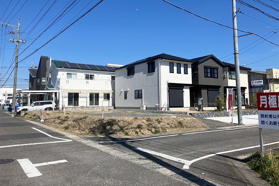 1号地