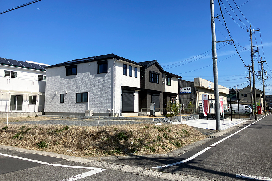 1号地