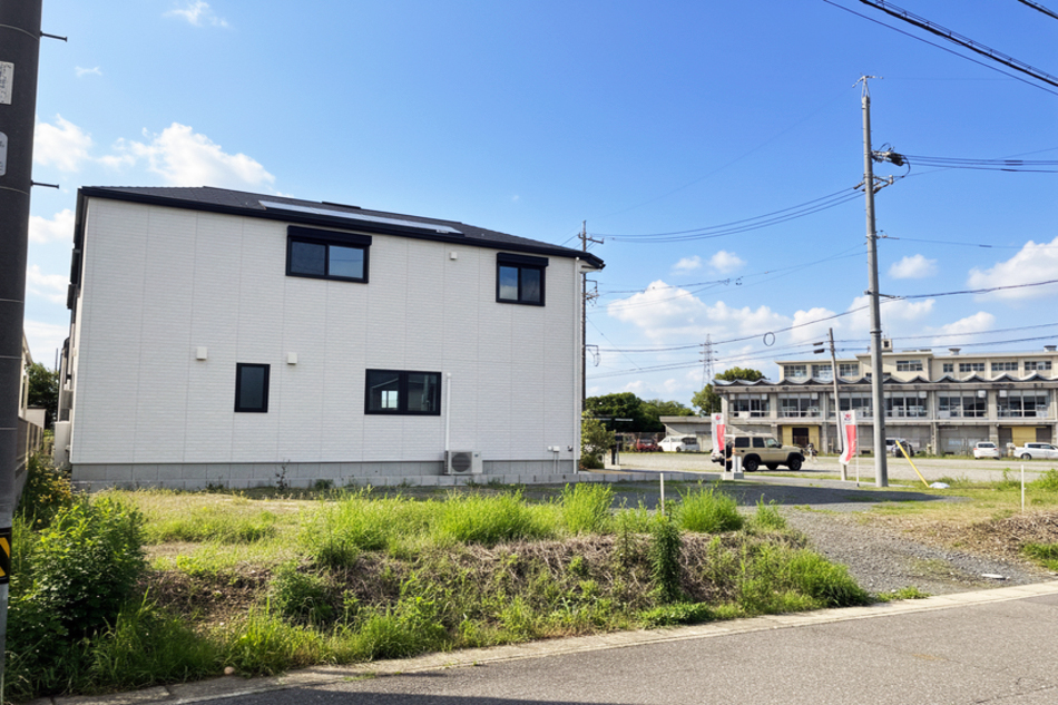 1号地