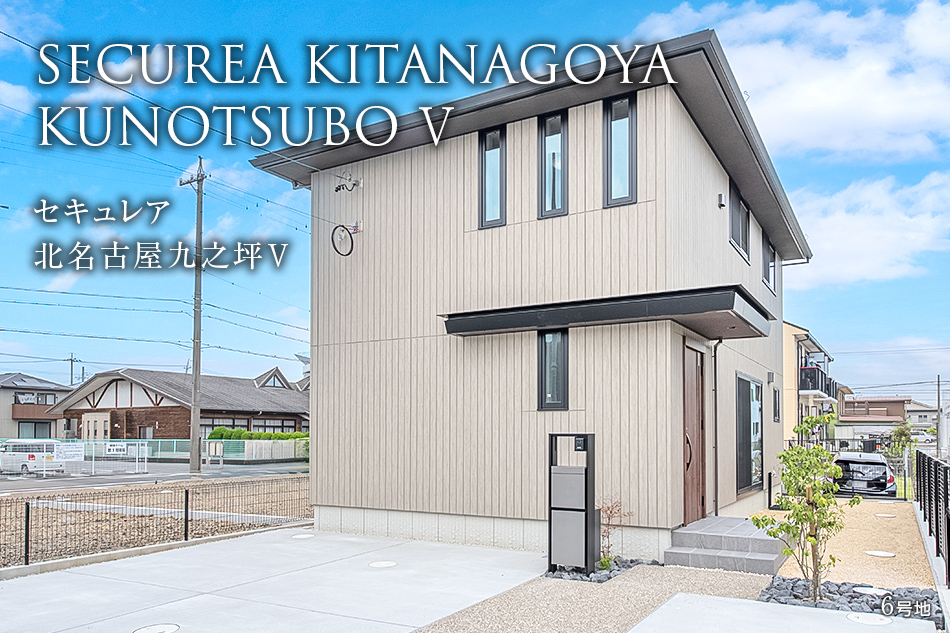 6号地