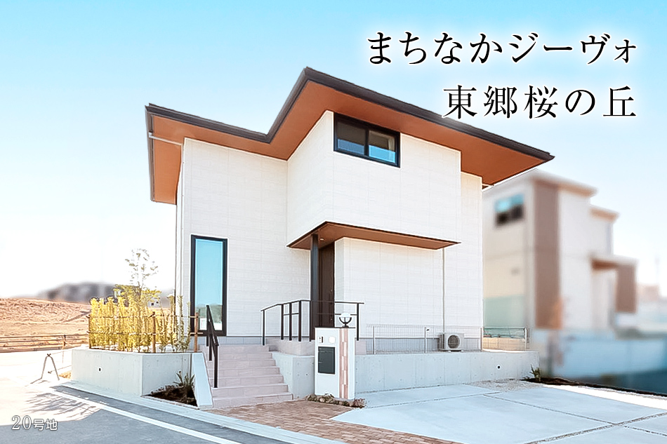 20号地