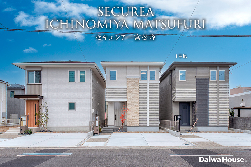 1号地