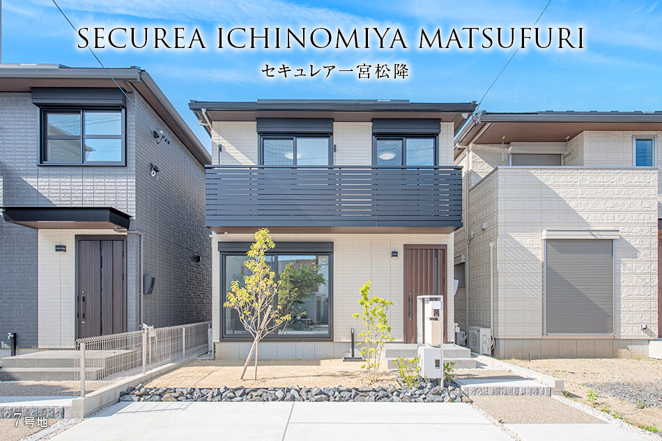 7号地