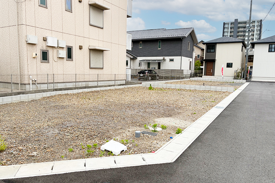 6号地