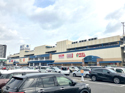 フィール　シャンピアポート店