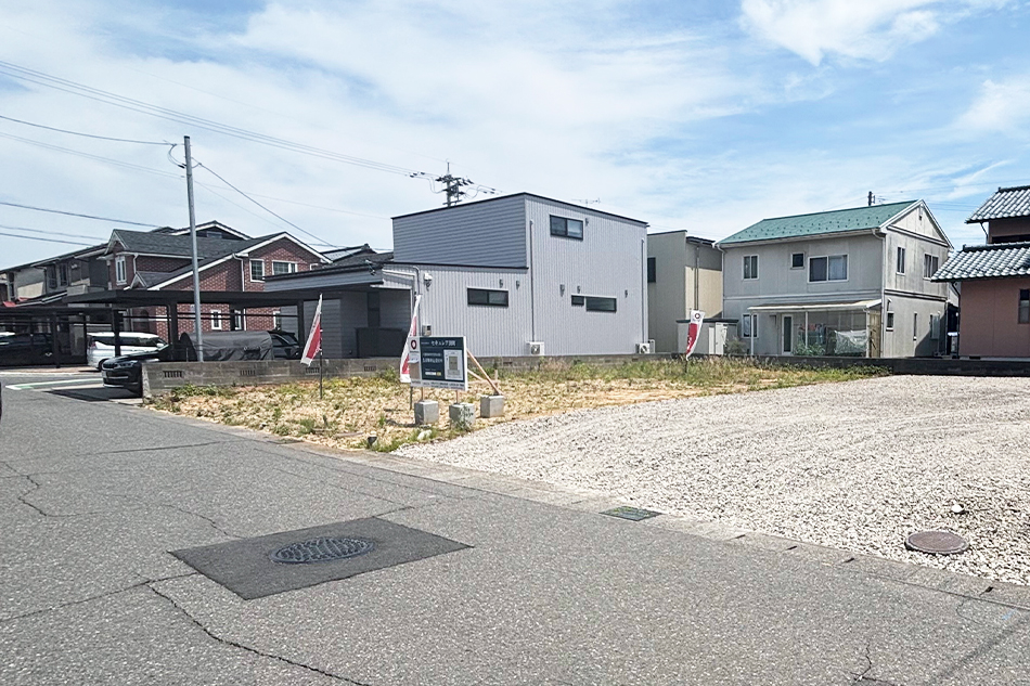 1号地