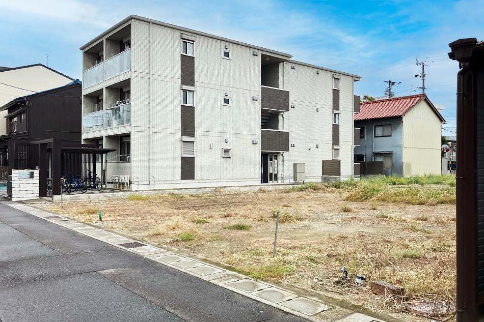 1号地