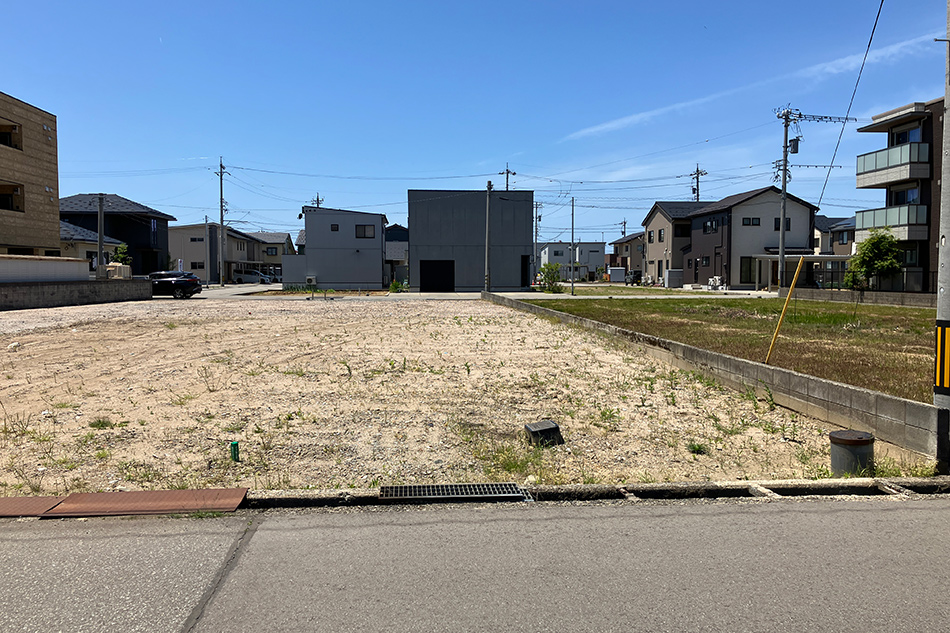 3号地