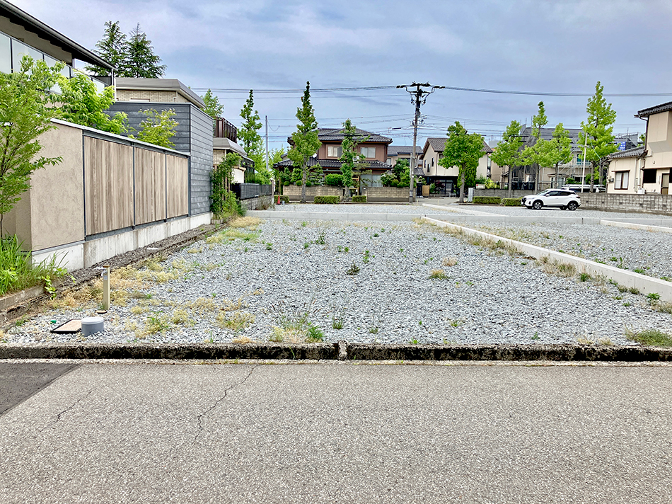 1号地