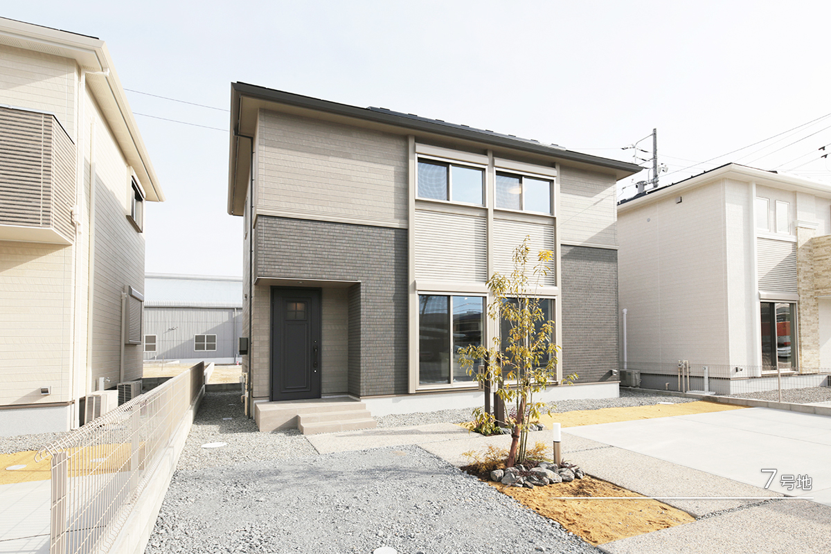 7号地