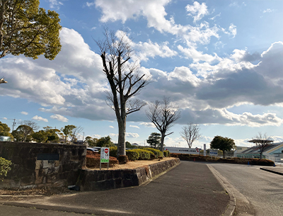 石垣池公園