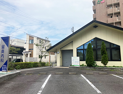 留奥内科