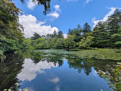 雲場池