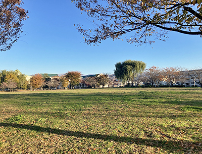 三本柳中央公園