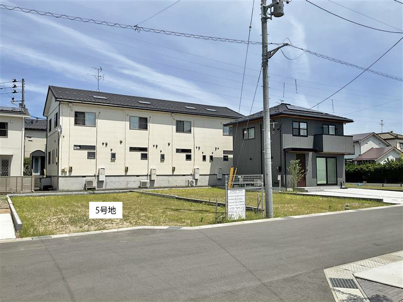 5号地