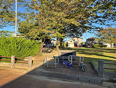 藤沢公園