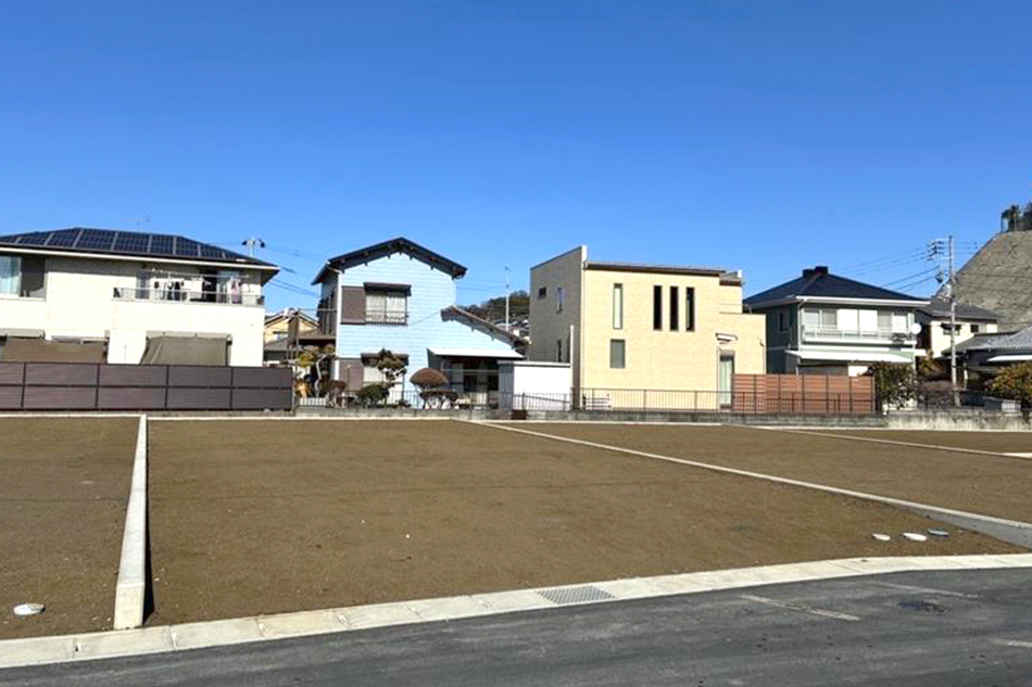 7号地