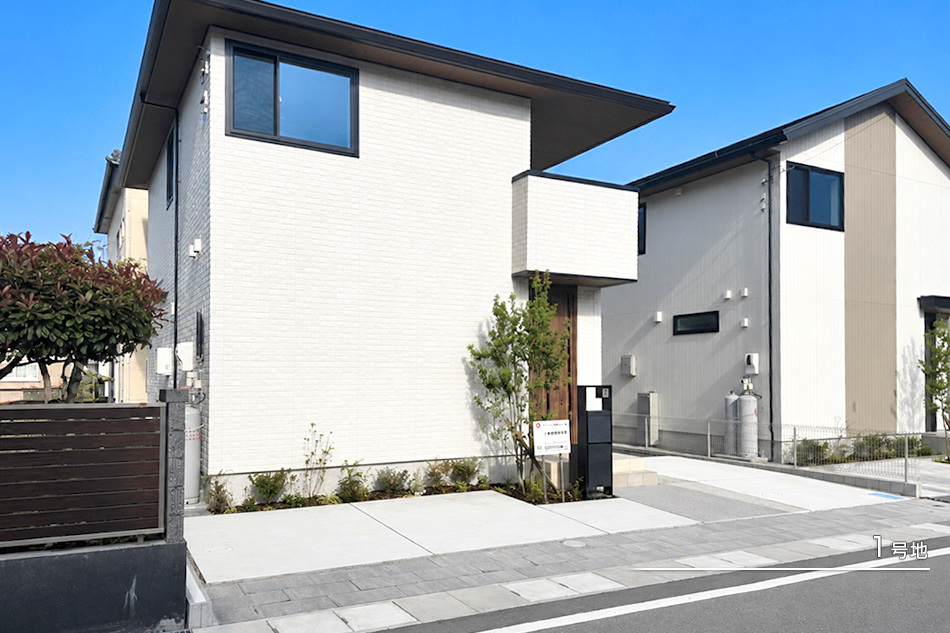 1号地