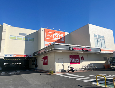 ザ・ビッグ藤枝田沼店