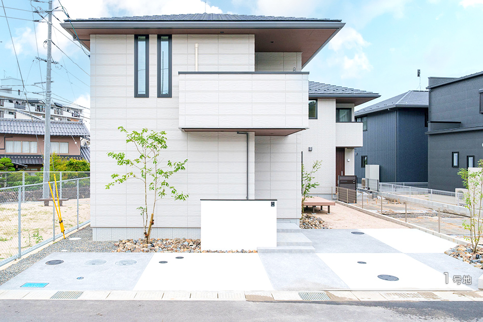 1号地