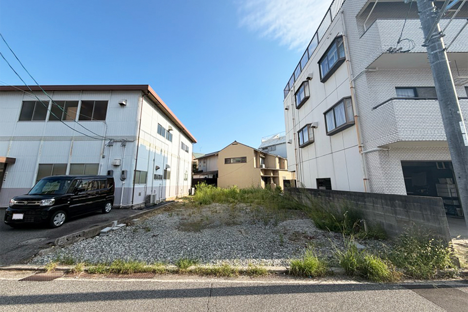 1号地
