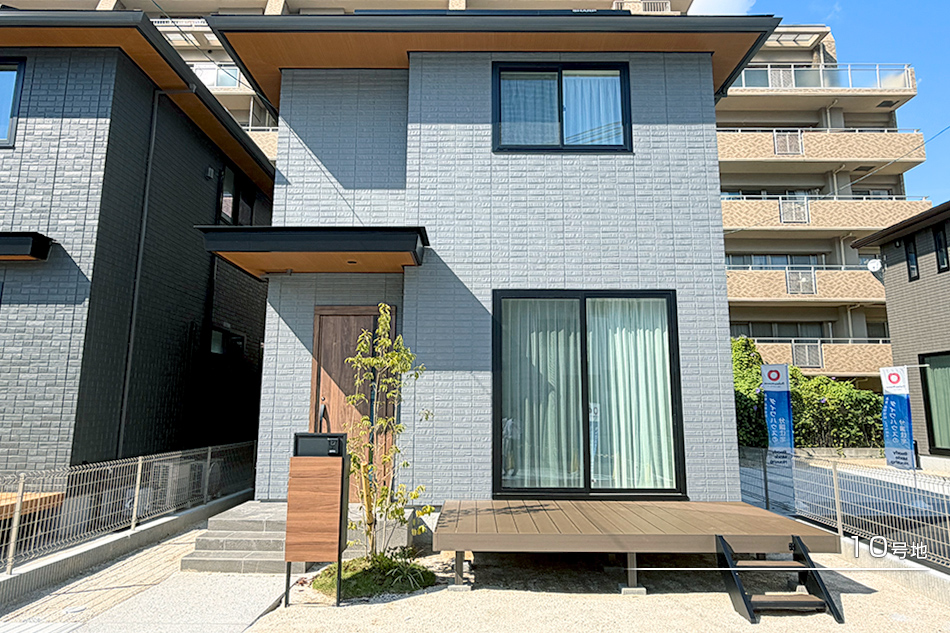 10号地