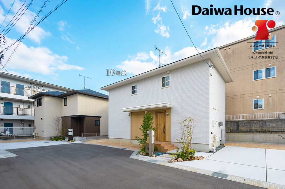 10号地