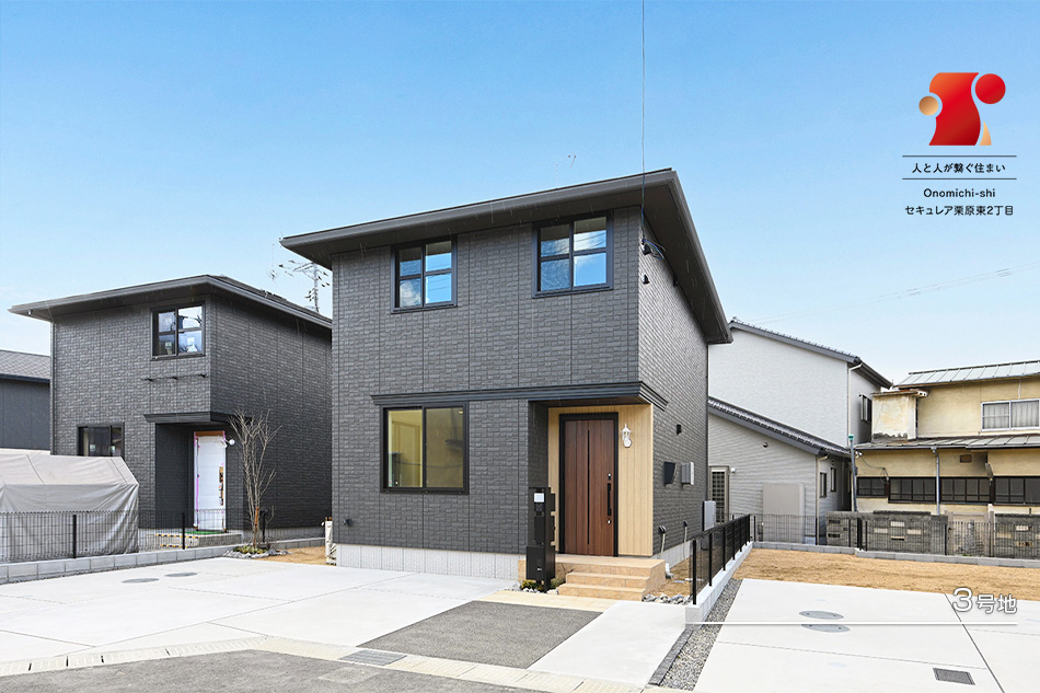 3号地