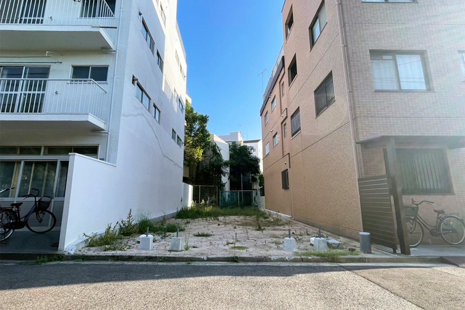1号地