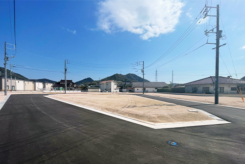 19号地