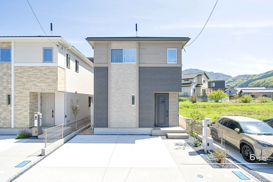 6号地