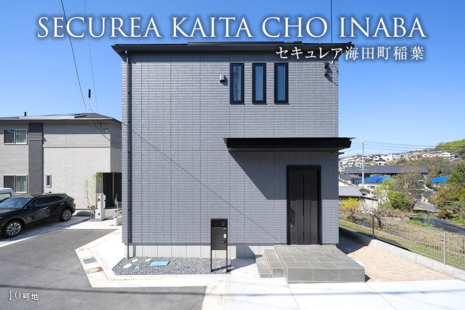 10号地