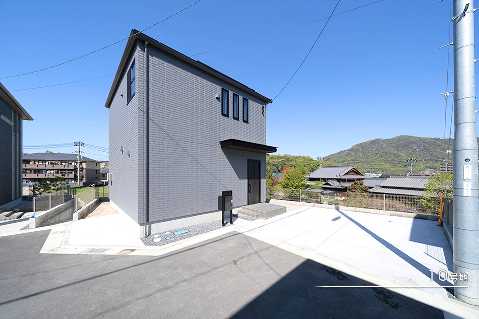 10号地