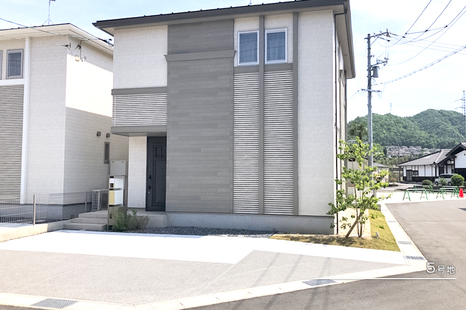 5号地
