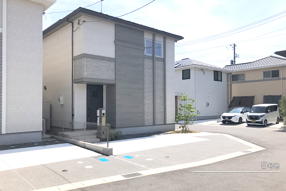 5号地