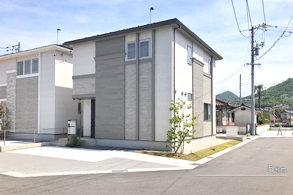 5号地