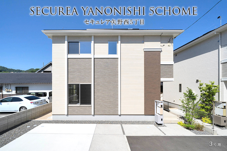 3号地