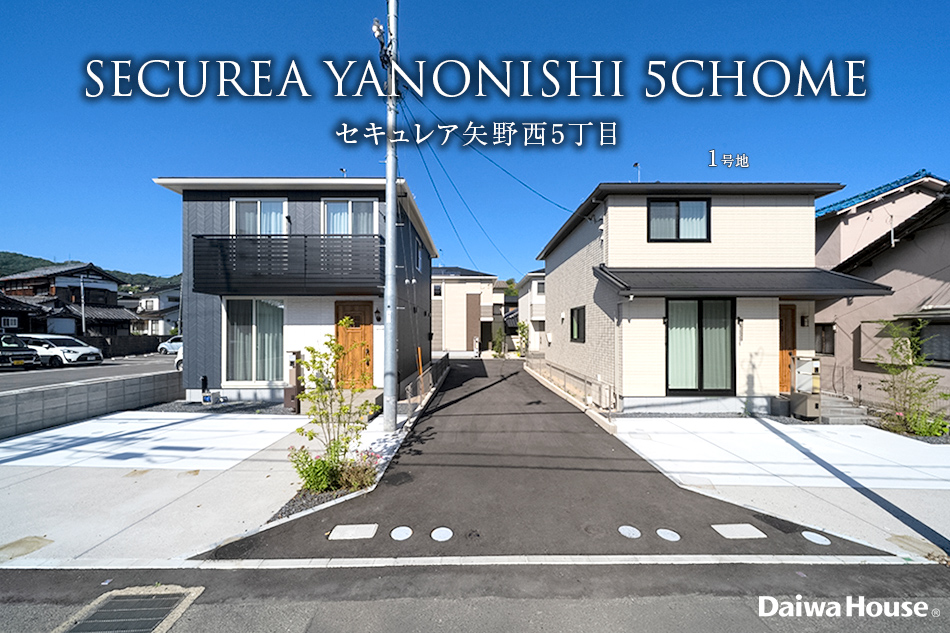 1号地