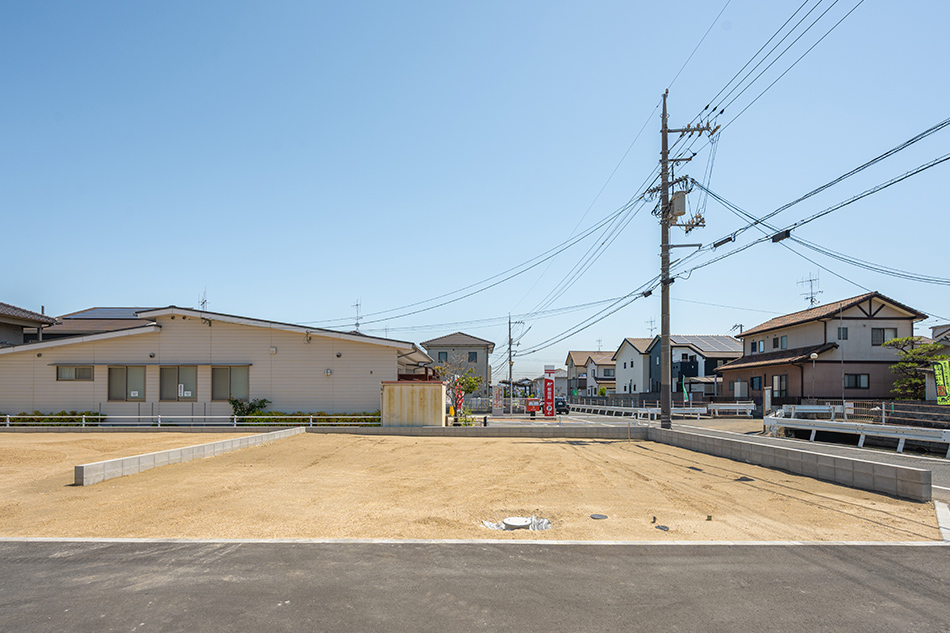 7号地
