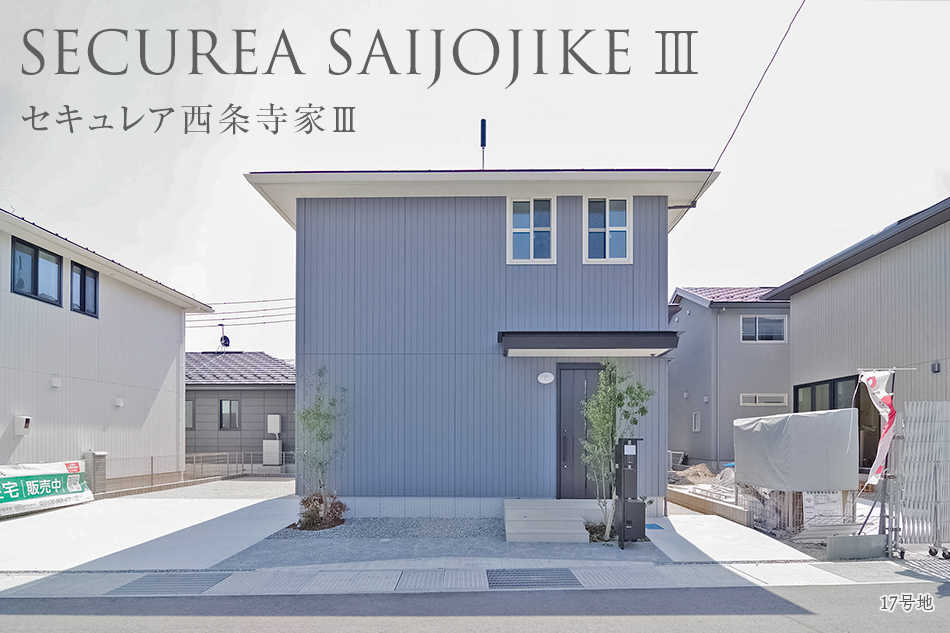 17号地