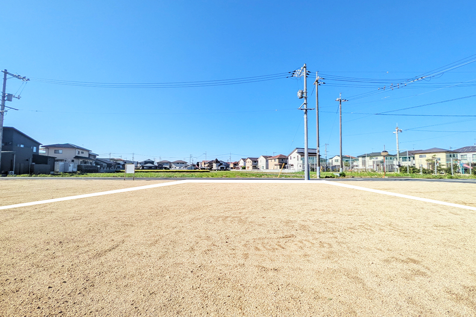 2号地