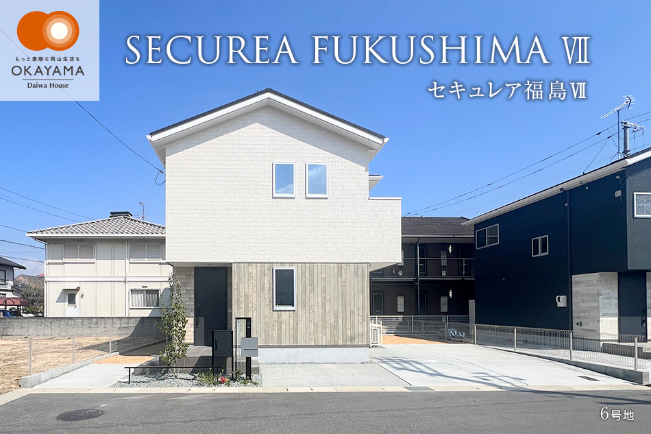 6号地